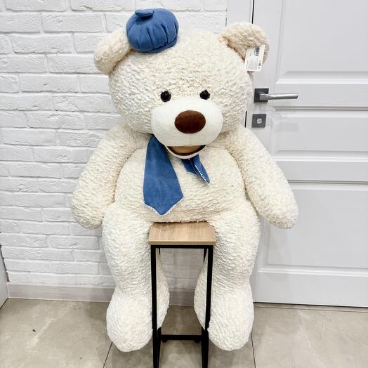 Большой медведь в шапке