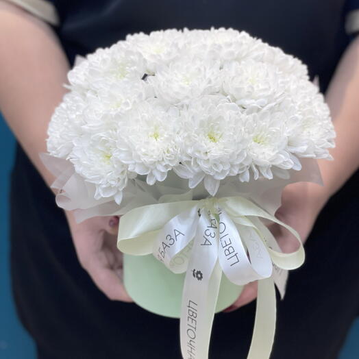 Бокс с хризантемой кустовой