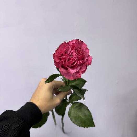 Кантри-блюз