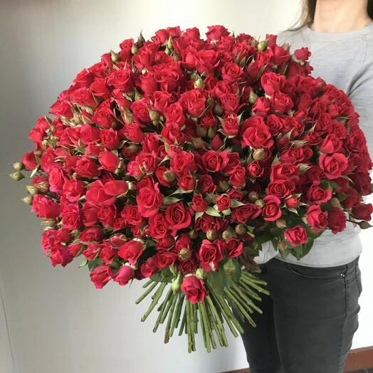 101 Кустовая Роза