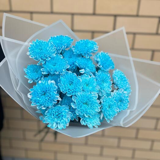 Голубые хризантемы