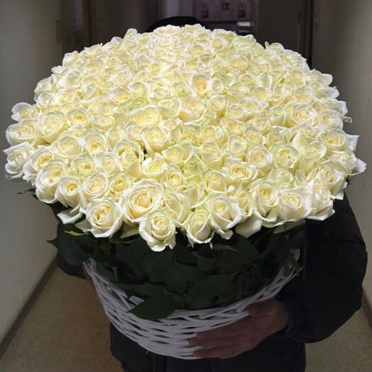 101 роза белая в корзине