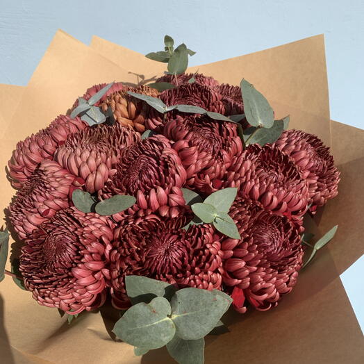 Хризантема бигуди