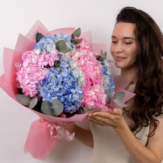 7 розовых и голубых гортензий Magical Romance, Blue King, веточки эвкалипта