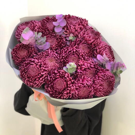 Velvet Chrysanthemums