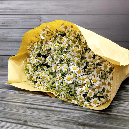 Пачка (25 шт.) Танацетум Белый 50 см Арт. Fc01915c