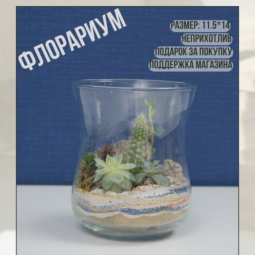 Флорариум тюльпан 2