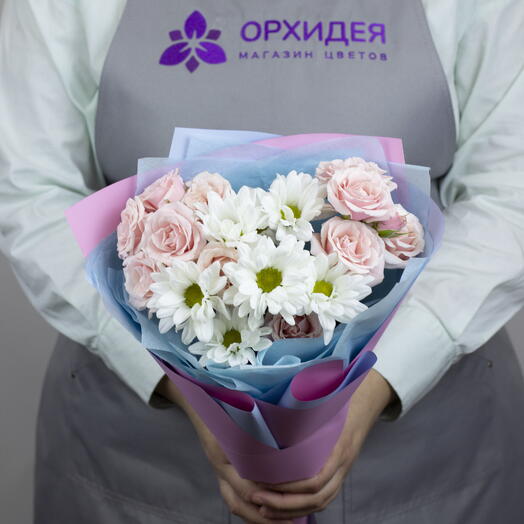 Сиеста вега