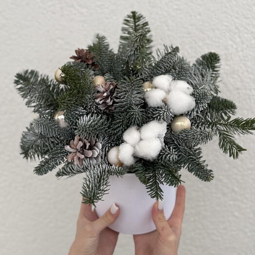 Зимняя композиция из ели Нобилис🎄