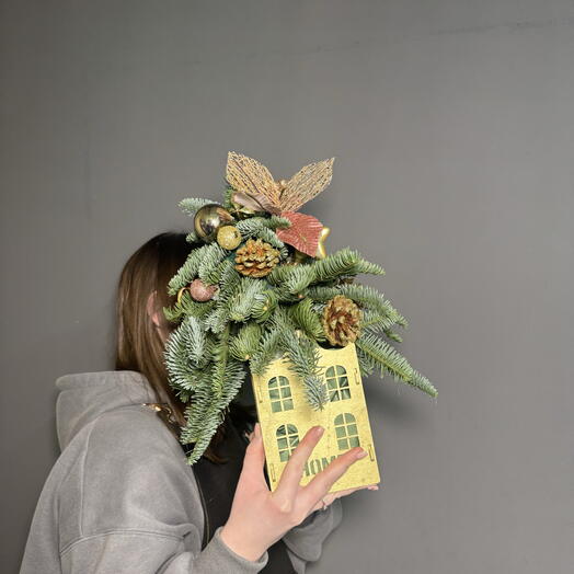 Елка в домике