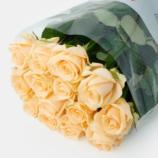 Пачка роз (15 штук) Пич Аваланш, 50 см