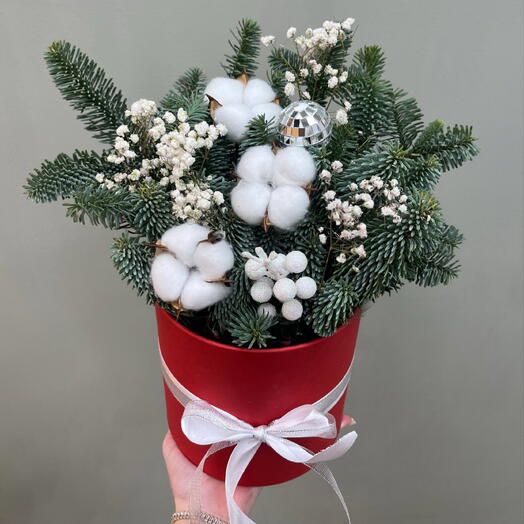 Новогодняя композиция с нобилисом