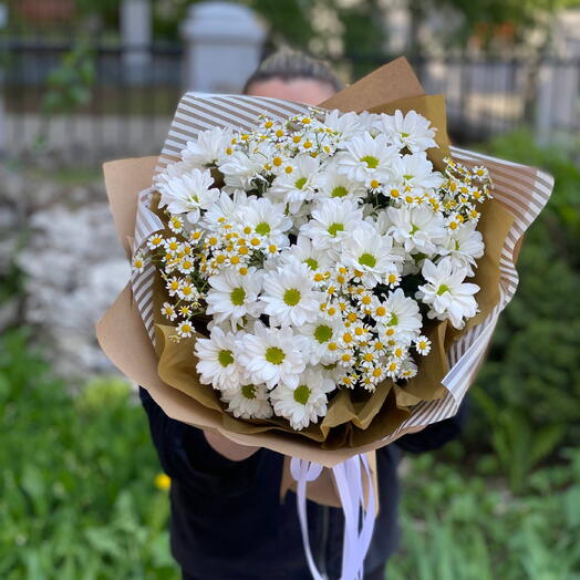 Ромашки