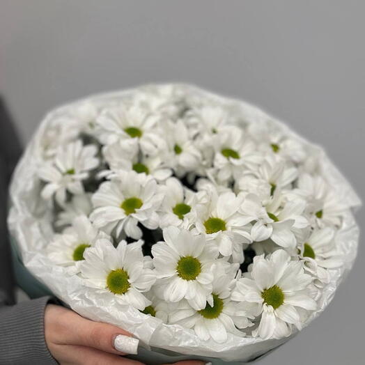 Букет Весна из 5 кустовых хризантем ромашек