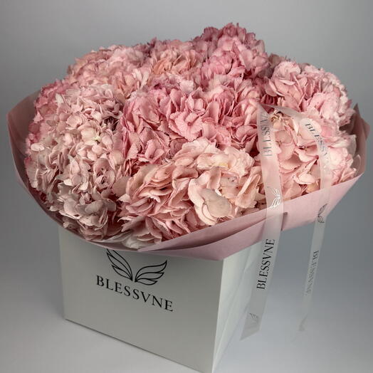 Sweet Blush