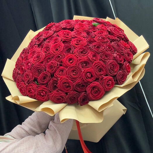 101 бордовая роза 🌹 премиум класса
