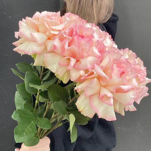 Роза французская 🌸