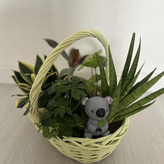 Корзинка ‘GreenGarden  🌳 ( s )