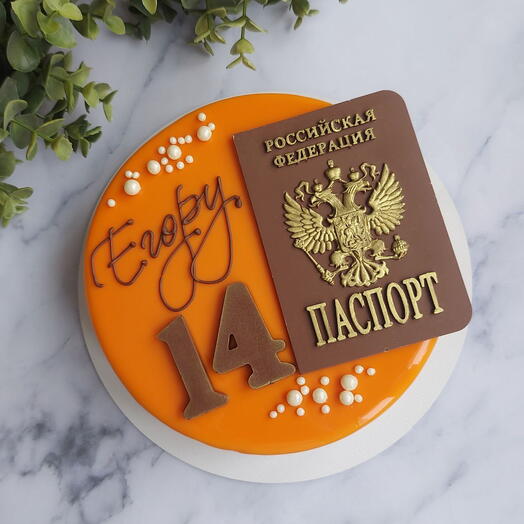 Муссовый торт 1 кг с шоколадным паспортом на 14 лет
