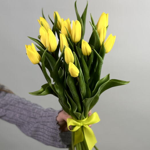 15 желтых тюльпанов с лентой