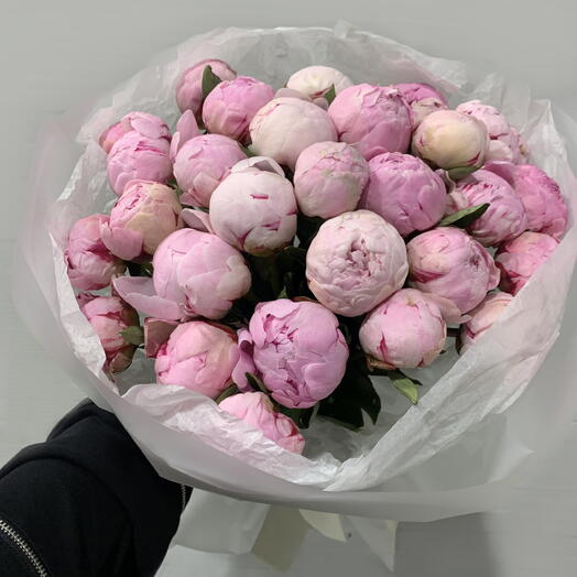 29 розовых пионов