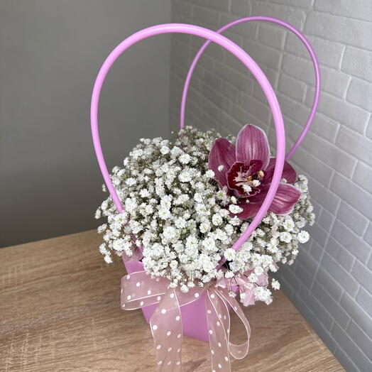 Сумочка с гипсофилой 🌸