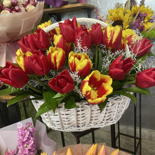 Красный мак