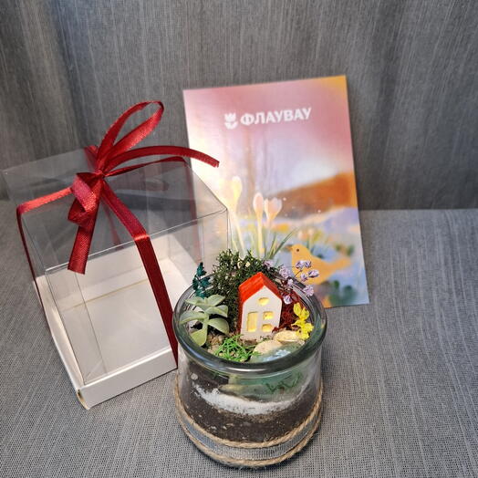 Мини бенто  флорариум с суккулентом для близким и коллегам