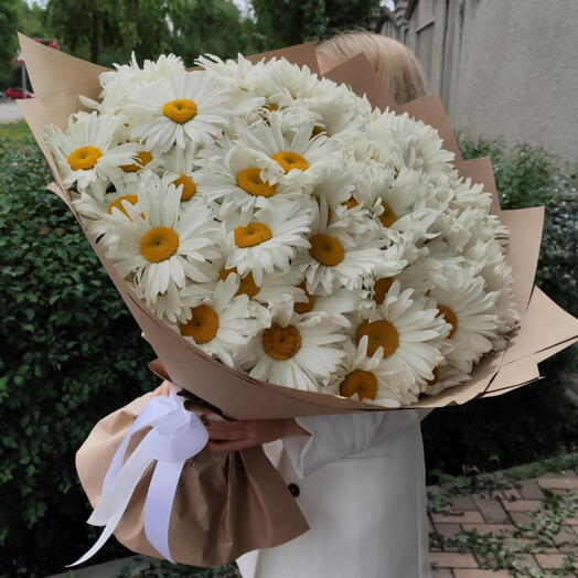 Ромашки
