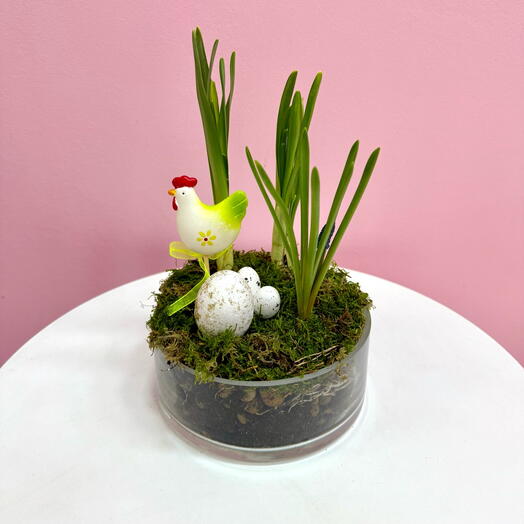 Мини сад в стеклянной вазе с нарциссами и мускари