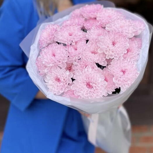 Моно букет из розовых хризантем 🌸