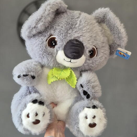 Милая коала 🐨