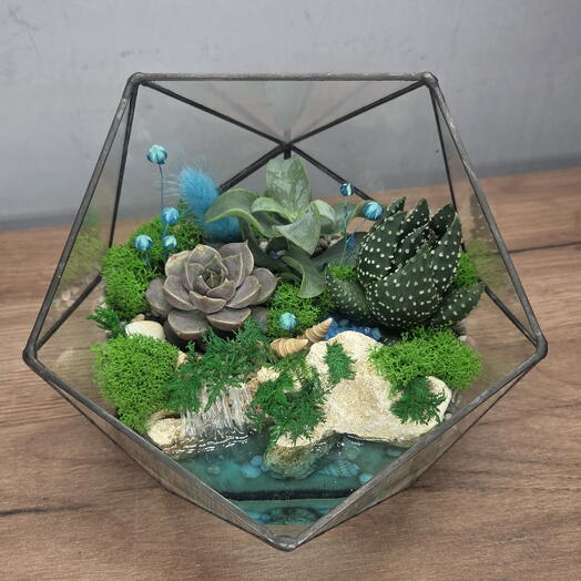 Florarium con suculentas "Rocas y mar"