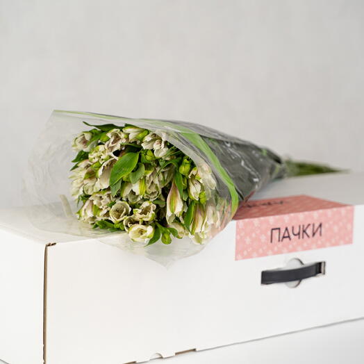 10 белых альстромерий в пачке (Колумбия)