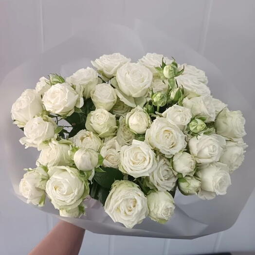 Роза БОМБАСТИК, кустовая, пионовидная, белая 9 шт