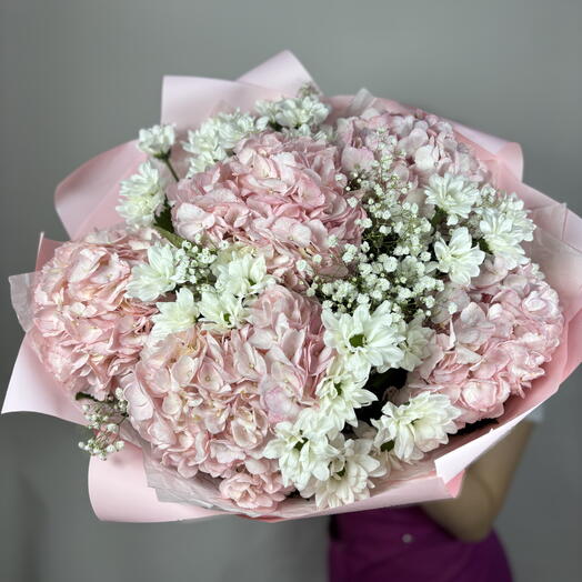 Гортензии 🌸🌸🌸