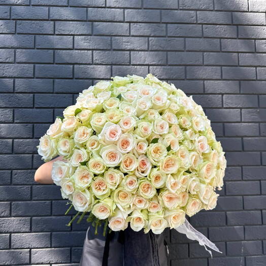 101 белая роза как из Pinterest
