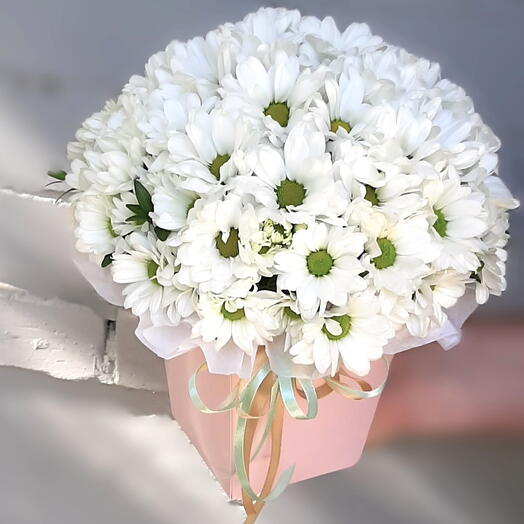 Ромашки 🌼