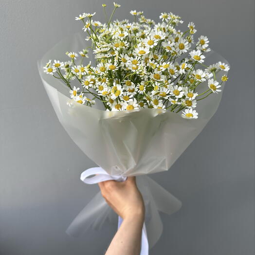 Монобукет из ромашек 🌼 5 веток