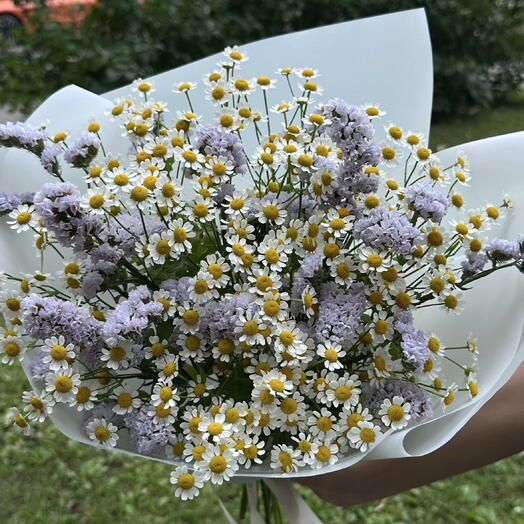 Букет из мелких ромашек и статицы