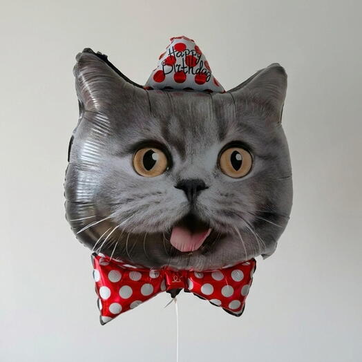 Воздушный шар котик