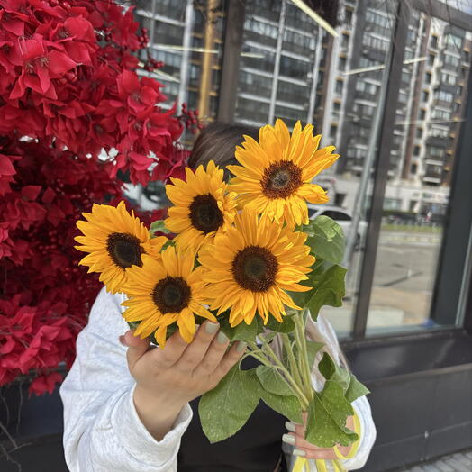 5 прекрасных подсолнухов🌻