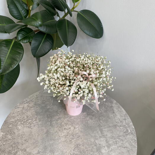 Стаканчик гипсофил как комплимент 🌸