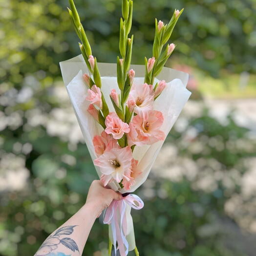 🌸Розовые зефирные гладиолусы, нежный комплимент для девушки