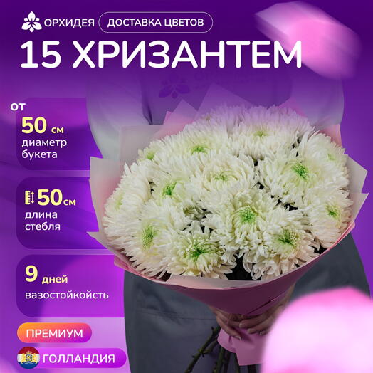 15 хризантем Магнум белые