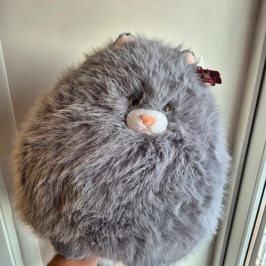 Котей Михалыч
