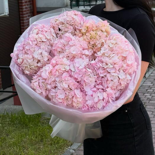 Букет из 9 розовых гортензий