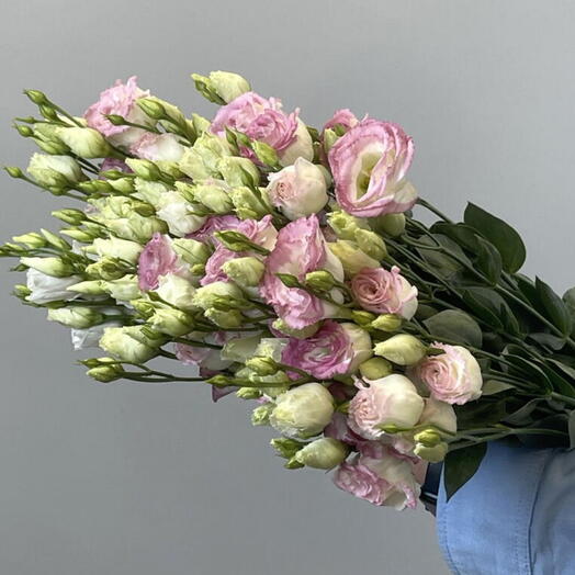 Пачка Лизиантус розовый «Chroma Bridal kiss»,10 шт