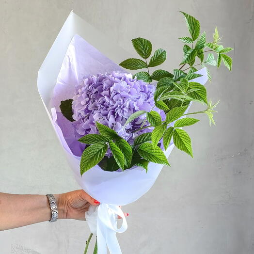 Сиреневая Гортензия с зеленью к 1 сентября💜🌿