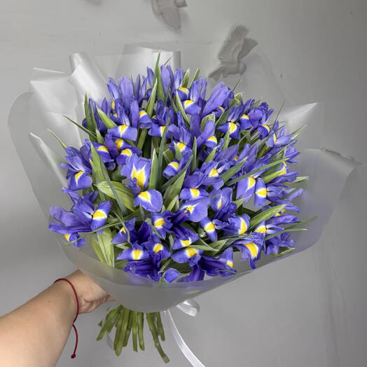 Букет из 25 ирисов💙